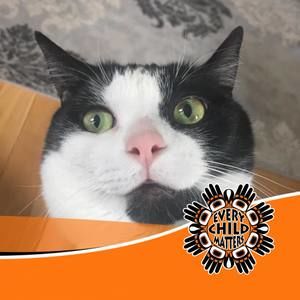 Meet your Posher, Kelly donny